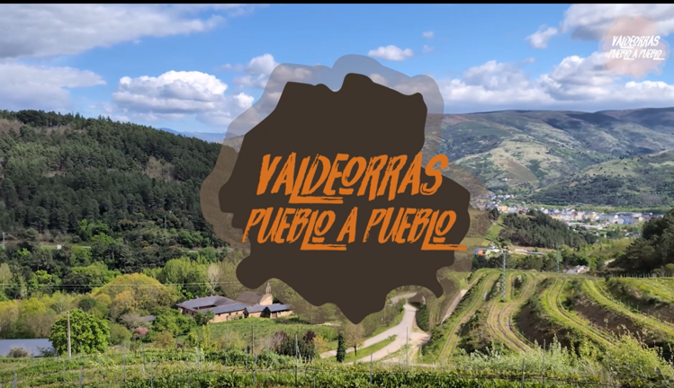 Captura de pantalla 2025-04-27 214740