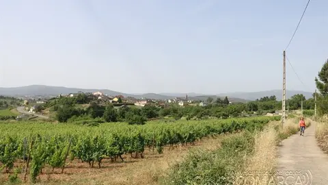 portada_somoscomarca_larouco_patricialamela_panoramicas_viña_2022 (4)