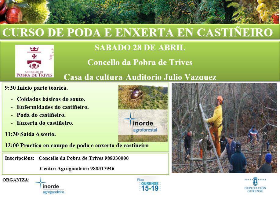 Curso de poda e injerto en castaño. Trives @ A Pobra de Trives